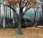 BRITAINS DIORAMA ACCESSORIES 53009 OLD GROWTH TREE LATE AUTUMN - WINTER