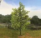 BRITAINS DIORAMA ACCESSORIES 53019 SUMMER MAPLE TREE